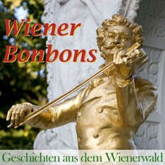 Der Zigeunerbaron (Einzugsmarsch)