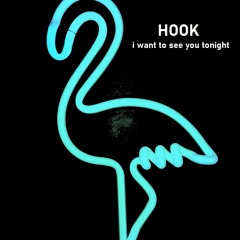 I Want To See You Tonight - Hook