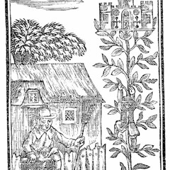 The original Jack and the bean stock story, wasn't for kids! | Podcast