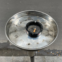плоть