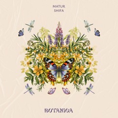 Matur - Shifa
