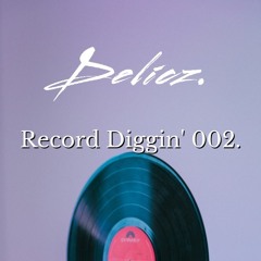 Record Diggin' 002