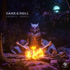 Dark & Roll - Never Sleep Again