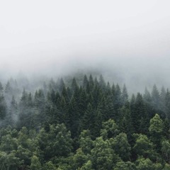 See You On Wednesday Neida - Yang Lalu Hanya Debu - Live Session