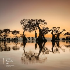 Lindja - Anemoia