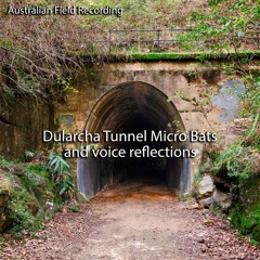 Micro Bats - Dularcha Tunnel (field recording)