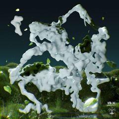 CxC PREMIERE: Fluid Matter - Tiptoe (Virtual Forest)