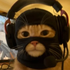 damn (@punknovaa @sip.wok_)