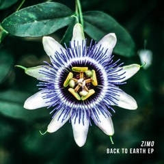 Brilliant Hues Of Aquatic Creatures