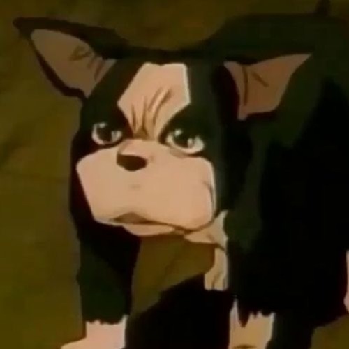 bruh