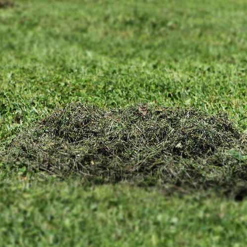 Feeling into Healing: A Recipe {Erotic Rupture Series}