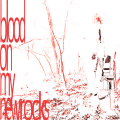 blood on my new rocks (feat. ink decay) (prod. w3ird)
