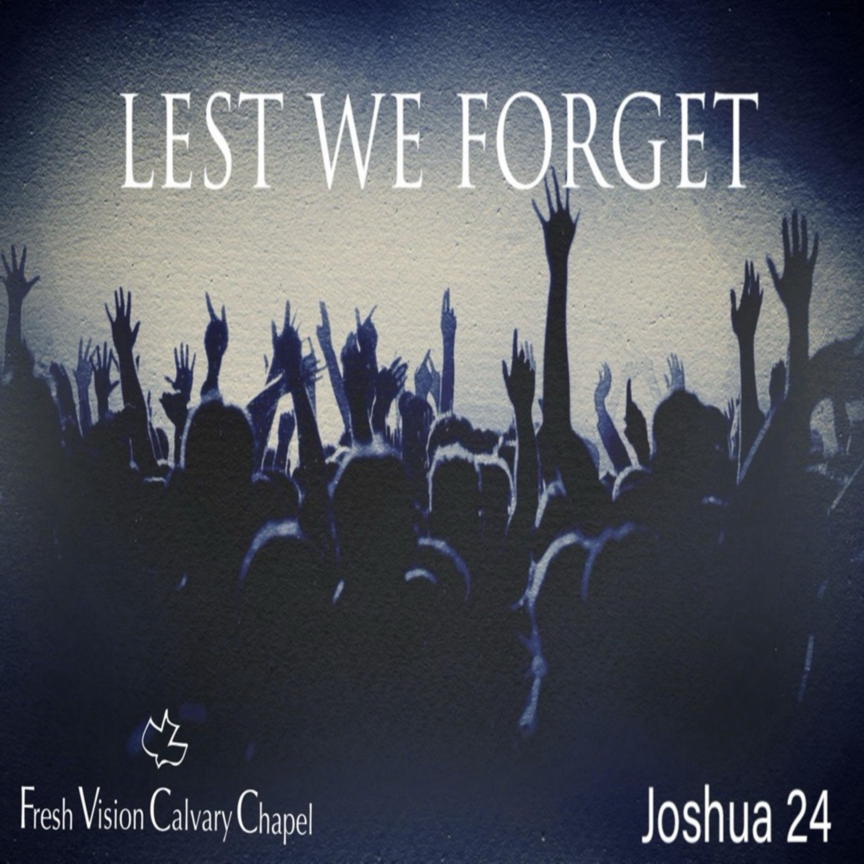 Lest We Forget episode artwork