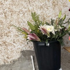 I just want to love you