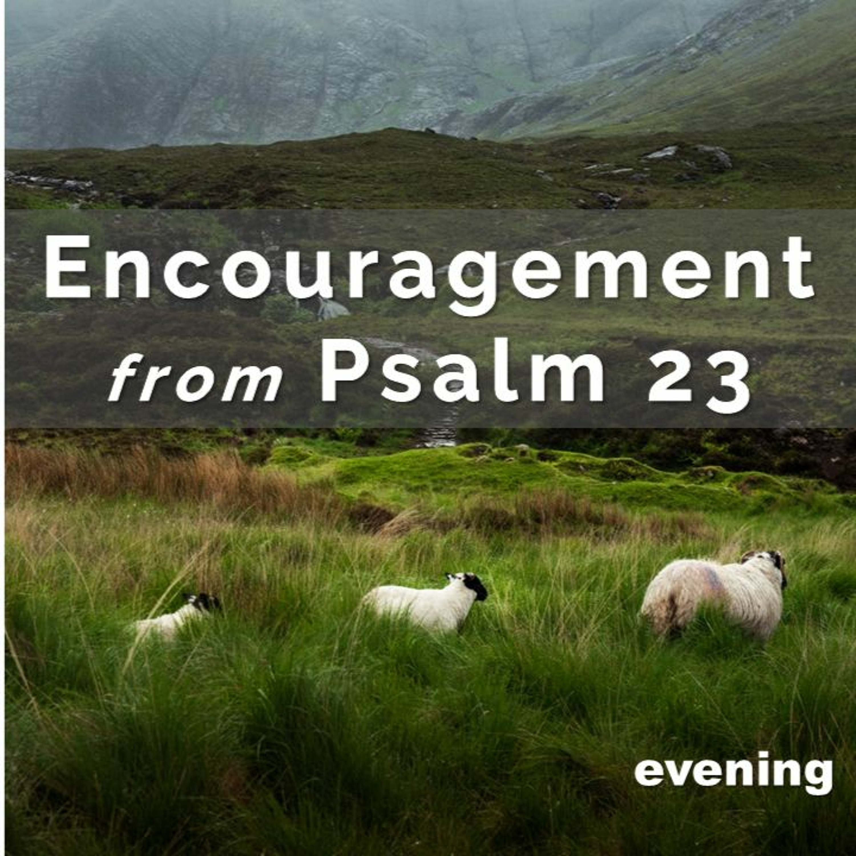 Sermons from Pinelands Baptist