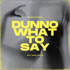 Lobster Music - Dunno What To Say (feat. Dane Jurous)