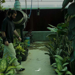 Beigali x Alfenon - Noor