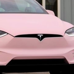 Hanma X 6TAM - Pink tesla