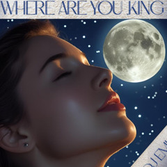 Where  are you ,king