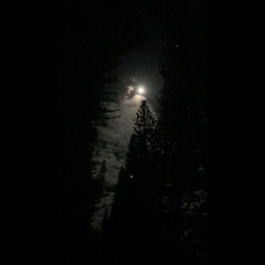 Sneak Chamber (Mellow Version) - XPanda