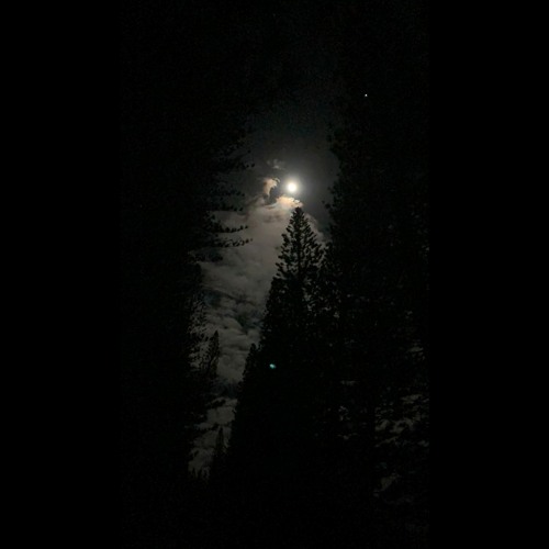 Sneak Chamber (Mellow Version) - XPanda