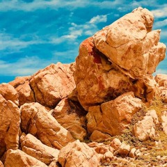 Appetite For Selection 044 by Charles Webster