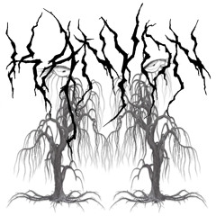 PREMIERE:// Kanyon - Patternmaster [Towhead Recordings]