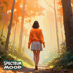 Colorimetry - Orange Morning