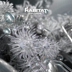 HABITAT EXPLORER 13 mixed by Scenarios