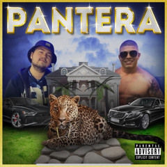 CRISPY BEATS x KOCKATA x VIDRATA - PANTERA [OFFICIAL 2024 VISUALIZER].mp3