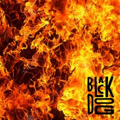 BLACKDOG "LiT-18"...