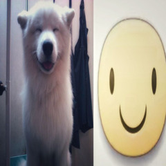 ＣＲＡＷＬＩＮＧ