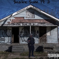 Snake Sum Pt 3