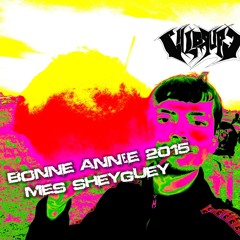 Bonne année 2015 mes sheyguey [mini set]