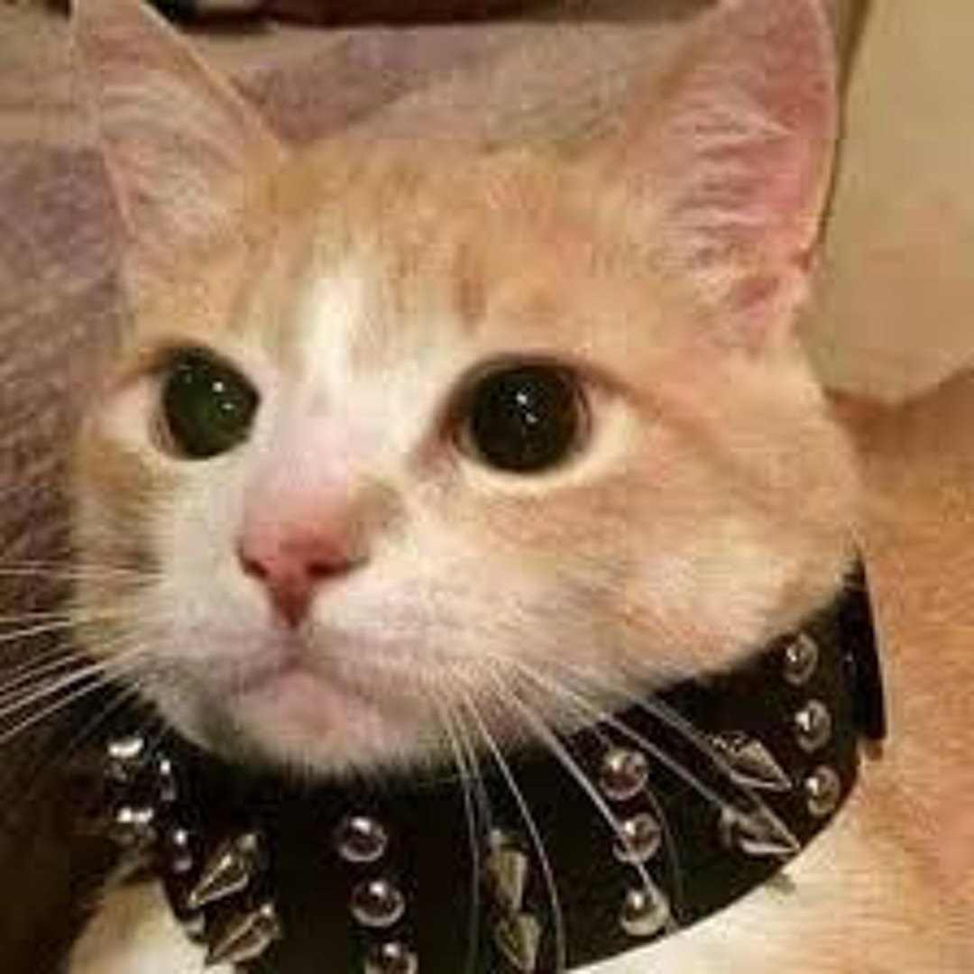 ☆Misery Meets Mayhem☆ G-rap Hiphop Hop is Back - YouTube