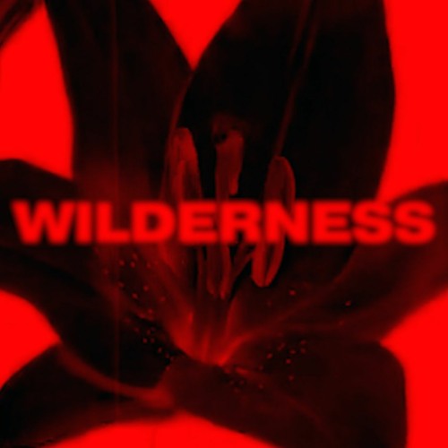 Wilderness