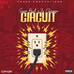 Sean Paul - Circuit (Raw)