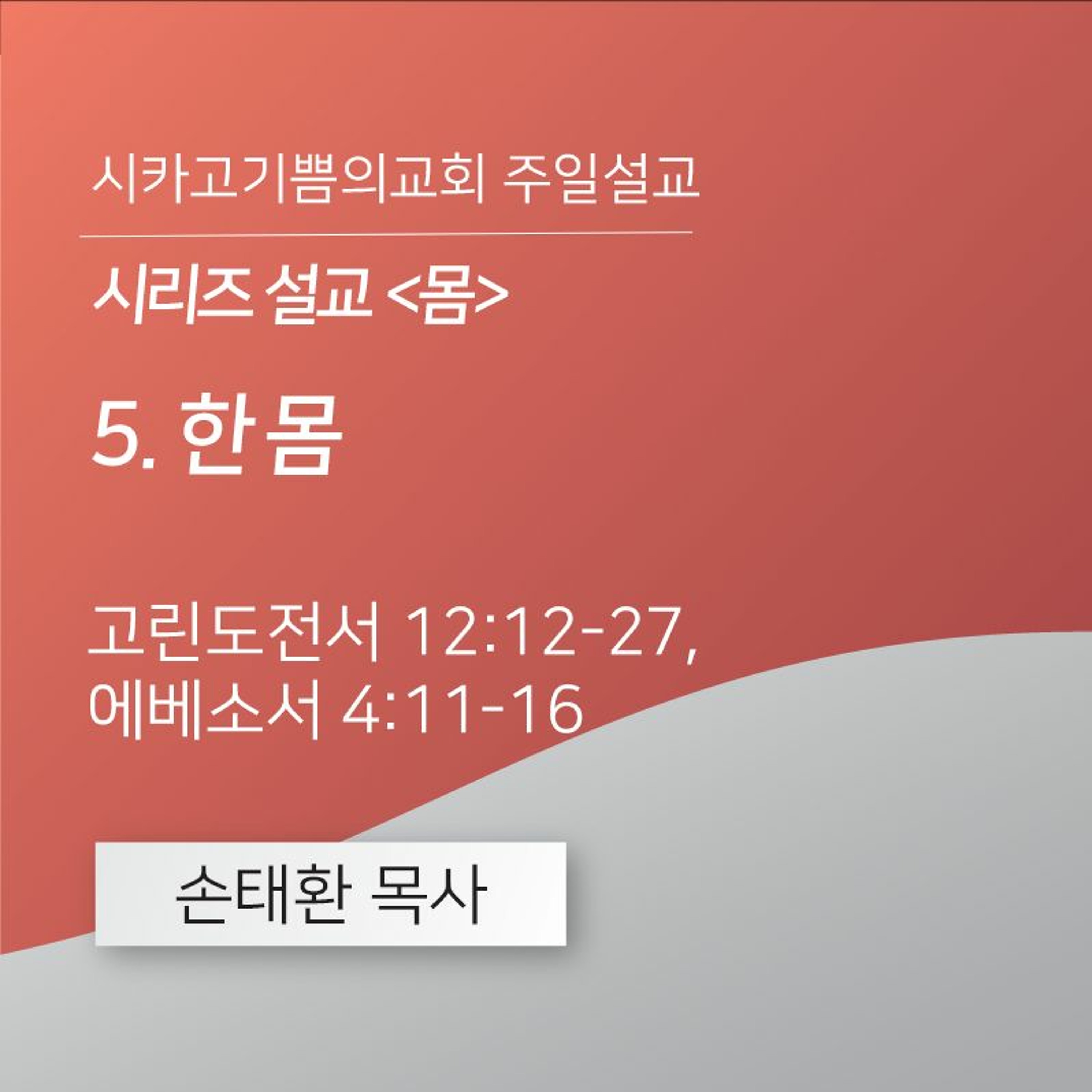 시리즈 설교 <몸> 5. 한 몸  | 손태환 목사 | 시카고 기쁨의 교회 - 20240211 episode artwork