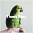Buzz Low - Thong Song (Ömer Özdemir Remix)