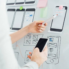 Why Phoenix Custom Software Solutions Are Ideal for Startups