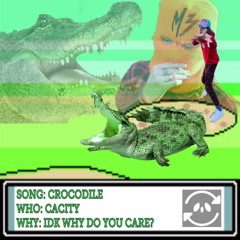 Cacity - CROCODILE