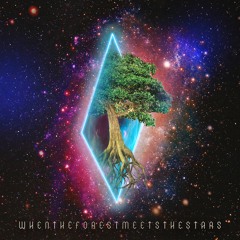 When The Forest Meets The Stars