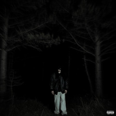 ghost in the room (slowed)