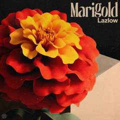 Marigold