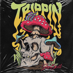 MIR MIR - TRIPPIN   EP