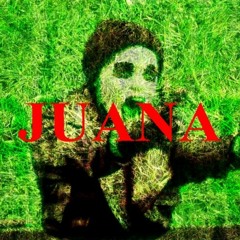 THE JUANA SERIES