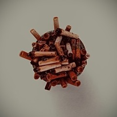 field (prod. David Tamas)