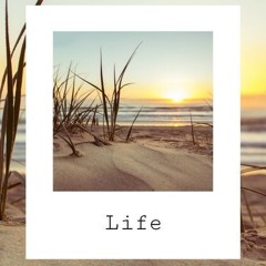 Life - A Flow State-Progressive Mix