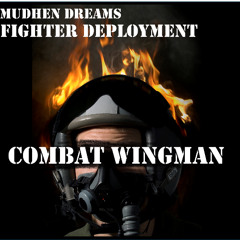 Combat Wingman