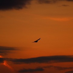Wherever the soul goes